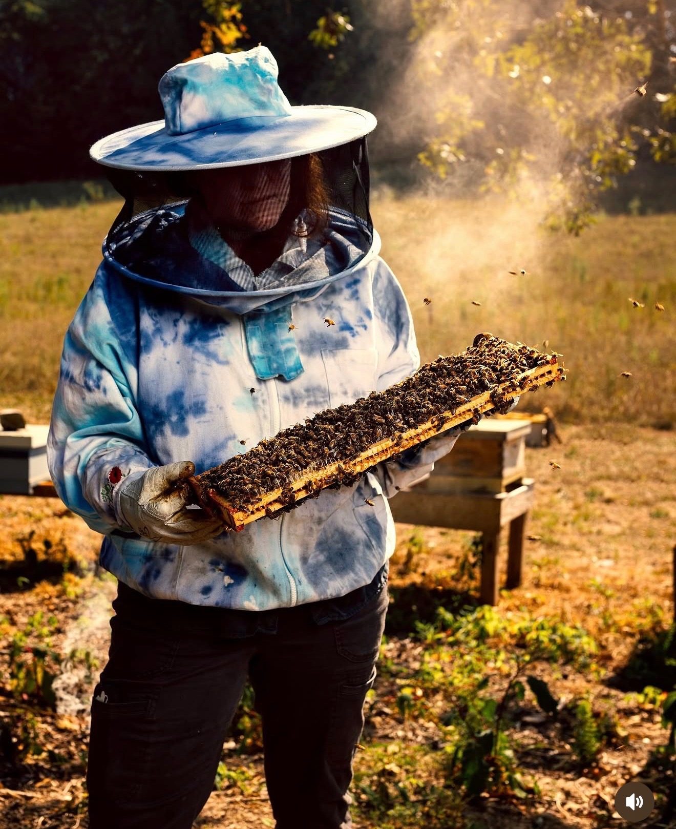Carmen Joyce inspecting a hive frame at golden hour, smoker haze catching the light